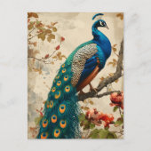  Peacock Splendor Briefkaart (Voorkant)