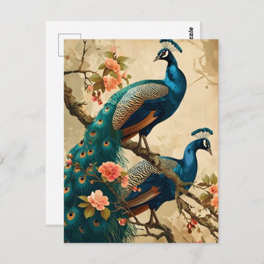  Peacock Splendor Briefkaart (Voorkant / Achterkant)