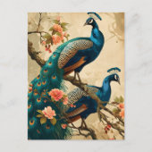  Peacock Splendor Briefkaart (Voorkant)