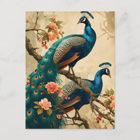 Peacock Splendor Briefkaart (Voorkant)