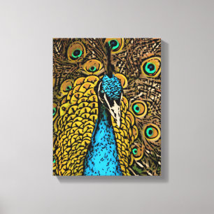 Peacock Splendor Illustratie Canvas Afdruk
