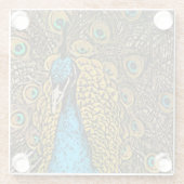 Peacock Splendor Illustratie Glazen Onderzetter (Achterkant)