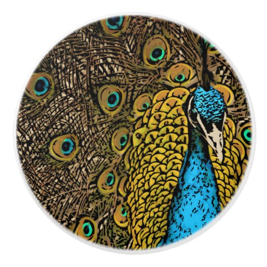 Peacock Splendor Illustratie Keramische Knop (Voorkant)