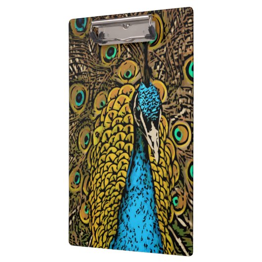 Peacock Splendor Illustratie Klembord (Links)