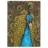 Peacock Splendor Illustratie Klembord (Achterkant)