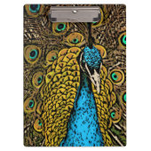 Peacock Splendor Illustratie Klembord (Voorkant)