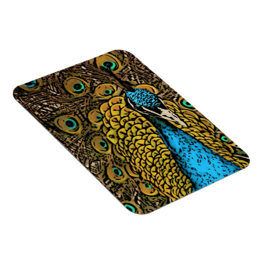 Peacock Splendor Illustratie Magneet (Rechterzijde)