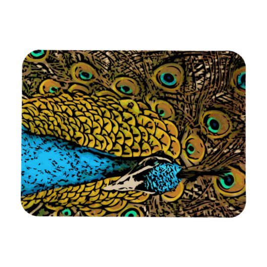 Peacock Splendor Illustratie Magneet (Horizontaal)