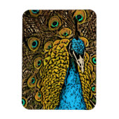 Peacock Splendor Illustratie Magneet (Verticaal)