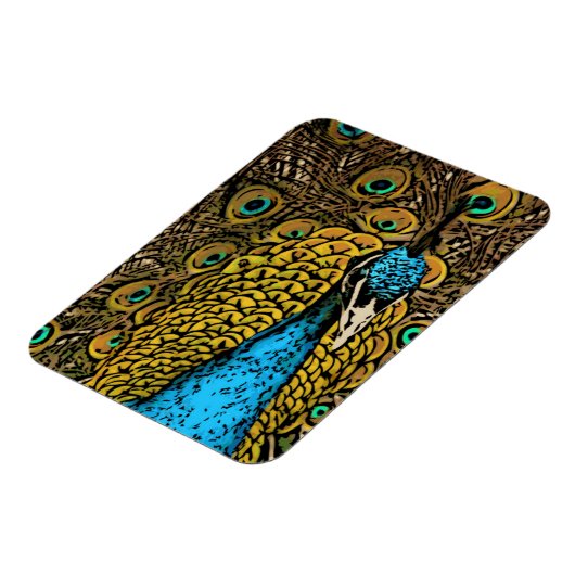 Peacock Splendor Illustratie Magneet (Linkerzijde)