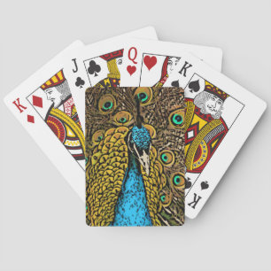 Peacock Splendor Illustratie Speelkaarten