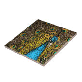 Peacock Splendor Illustratie Tegeltje (Zijkant)