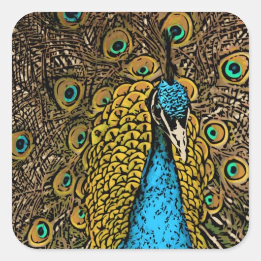 Peacock Splendor Illustratie Vierkante Sticker (Voorkant)