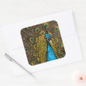 Peacock Splendor Illustratie Vierkante Sticker (Envelop)