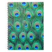 Peacock Splendor Notitieboek (Voorkant)