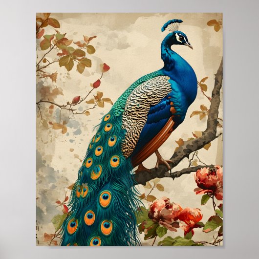  Peacock Splendor Poster (Voorkant)