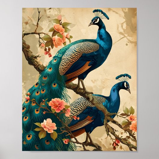 Peacock Splendor Poster (Voorkant)