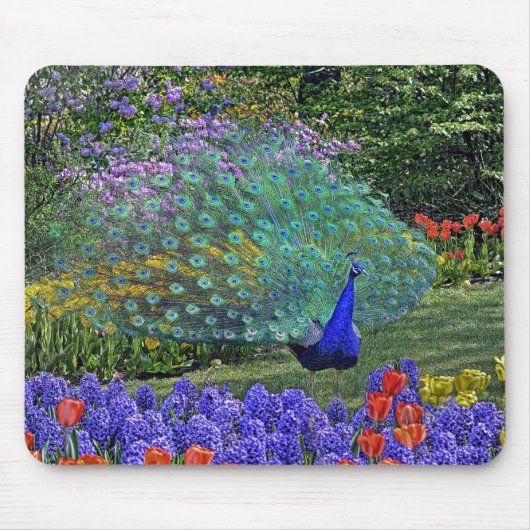 Peacock Spring Fowers 2 Muismat (Voorkant)