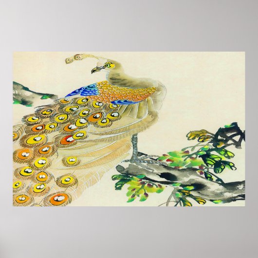 Peacock Standing poster Drawing 1 (Voorkant)