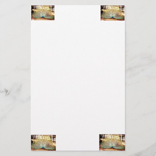 Peacock Stationery Briefpapier (Voorkant)