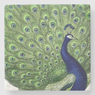  Peacock Stenen Onderzetter