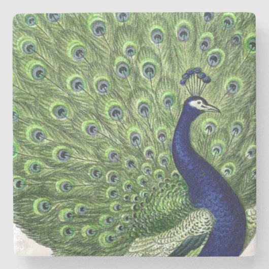  Peacock Stenen Onderzetter (Voorkant)