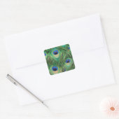 Peacock Sticker (Envelop)