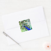 Peacock Sticker (Envelop)
