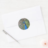 Peacock Stickers (Envelop)