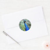 Peacock Stickers (Envelop)