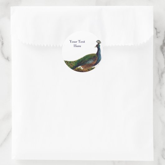  Peacock Stickers (Tas)