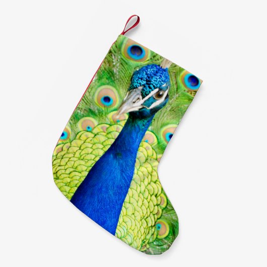 Peacock Stocking Kleine Kerstsok (Voorkant (Hangend))