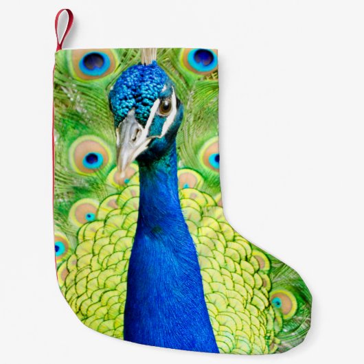 Peacock Stocking Kleine Kerstsok (Voorkant)