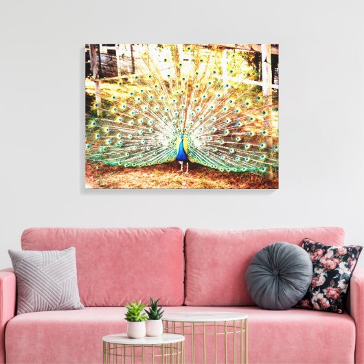 Peacock Stretched Canvas Afdrukken (Insitu (Woonkamer))