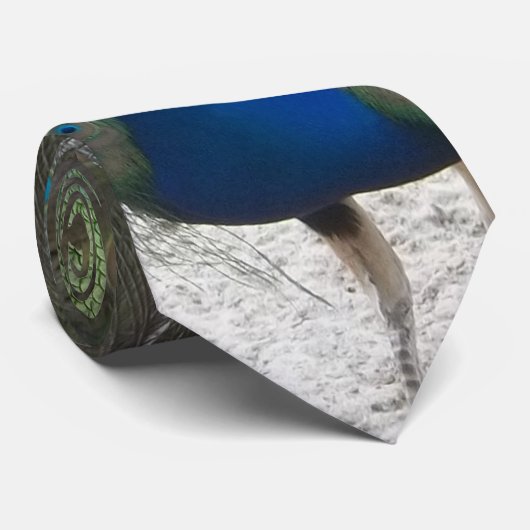 Peacock-Stropdas Stropdas (Opgerold)