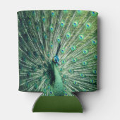 Peacock Strut Blikjeskoeler (Achterkant)