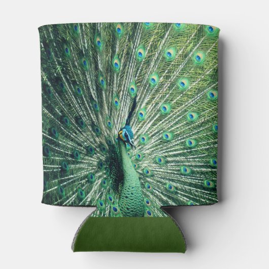 Peacock Strut Blikjeskoeler (Achterkant)
