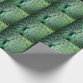 Peacock Strut Cadeaupapier (Hoek)