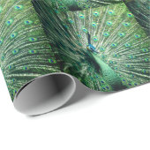 Peacock Strut Cadeaupapier (Rol Hoek)
