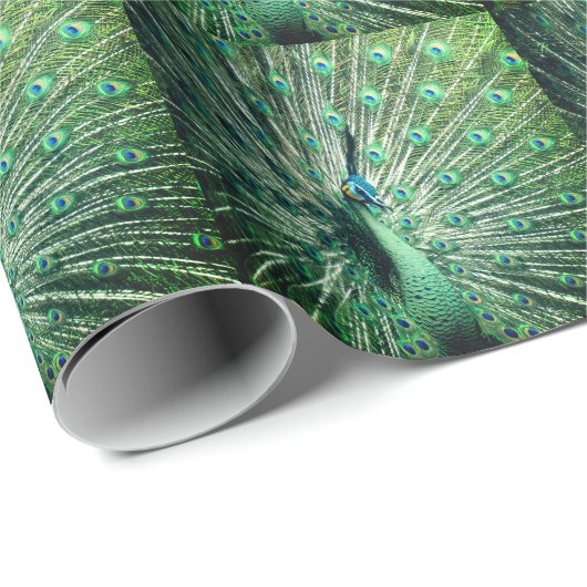 Peacock Strut Cadeaupapier (Rol Hoek)