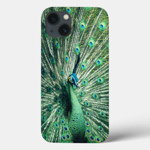 Peacock Strut Case-Mate iPhone Case
