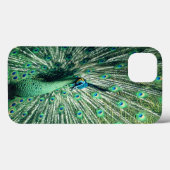 Peacock Strut Case-Mate iPhone Case (Achterkant (horizontaal))