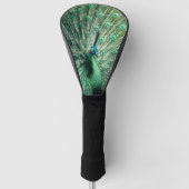 Peacock Strut Golfheadcover (Voorkant)