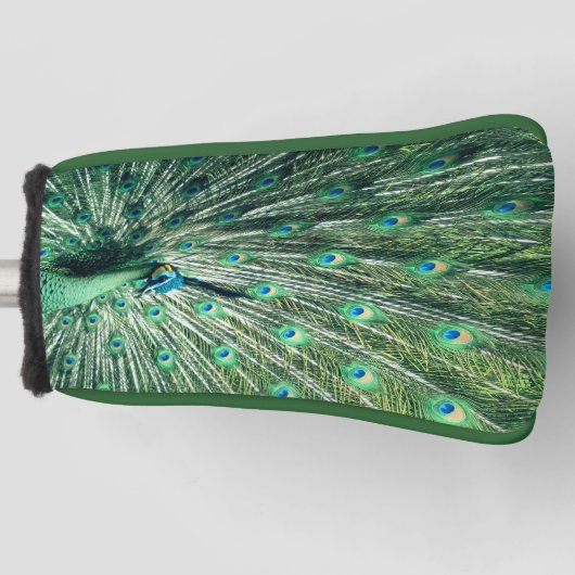 Peacock Strut Golfheadcover (Voorkant)