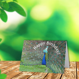 Peacock Strut·Happy Birthday! Kaart