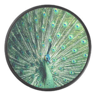 Peacock Strut Hockey Puck