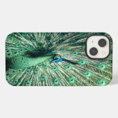 Peacock Strut iPhone Hoesje (Achterkant horizontaal)