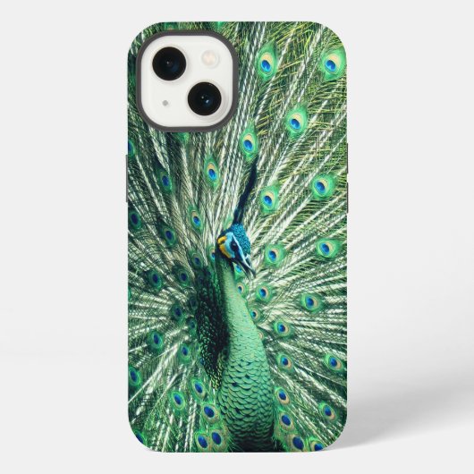 Peacock Strut iPhone Hoesje (Achterkant)