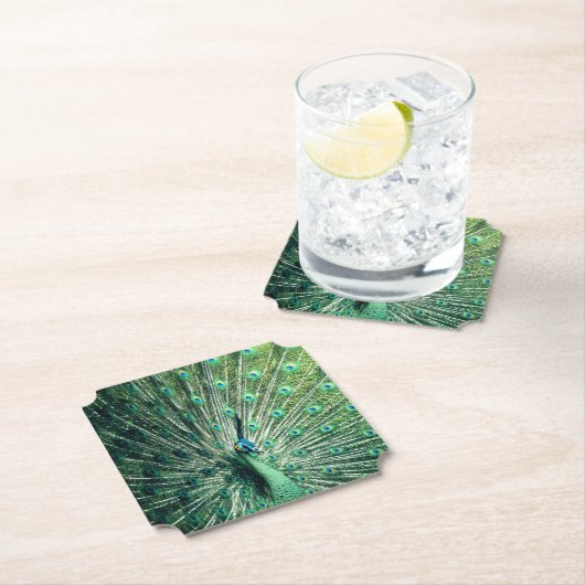 Peacock Strut Kartonnen Onderzetters (Insitu)