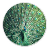 Peacock Strut Keramische Knop (Voorkant)